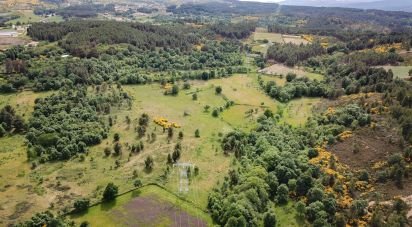 Terrain à bâtir à Santa Maria Maior de 32 590 m²