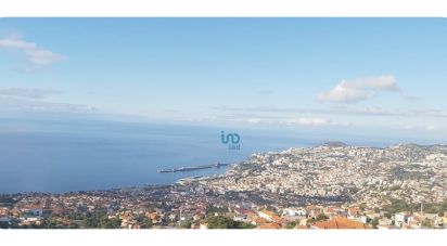 Terreno para construção em Funchal (Santa Maria Maior) de 5 330 m²