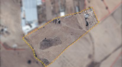 Land in Castro Verde e Casével of 57,270 m²