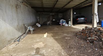 Land in Castro Verde e Casével of 57,270 m²