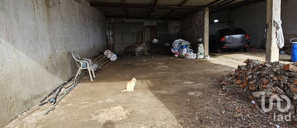 Terrain à Castro Verde e Casével de 57 270 m²