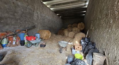 Land in Castro Verde e Casével of 57,270 m²