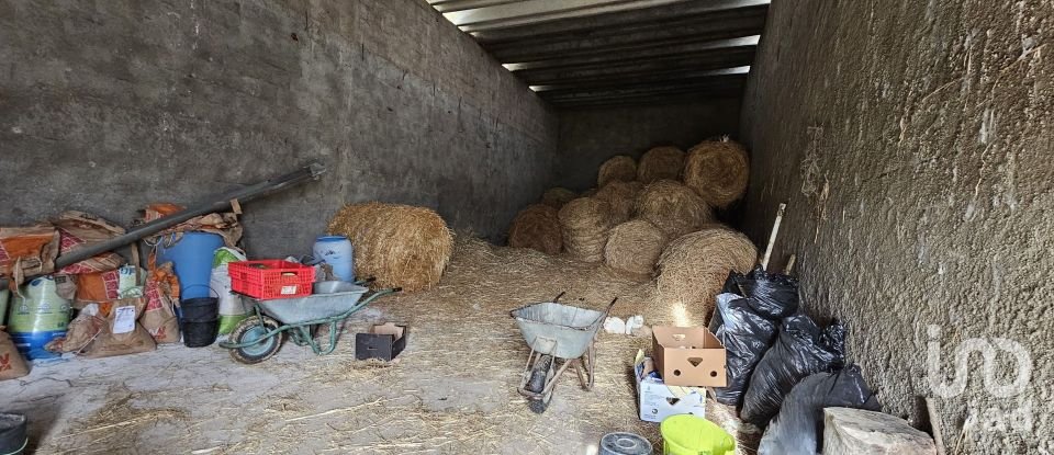 Terrain à Castro Verde e Casével de 57 270 m²