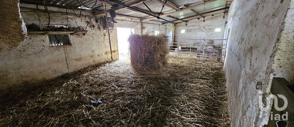 Terrain à Castro Verde e Casével de 57 270 m²