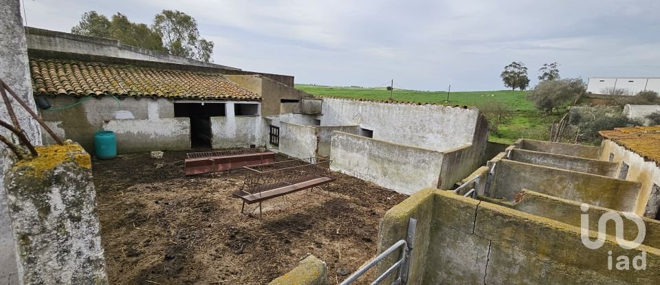 Terrain à Castro Verde e Casével de 57 270 m²