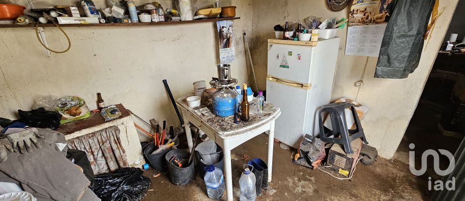 Terrain à Castro Verde e Casével de 57 270 m²