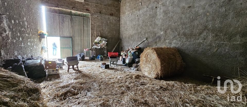 Terrain à Castro Verde e Casével de 57 270 m²