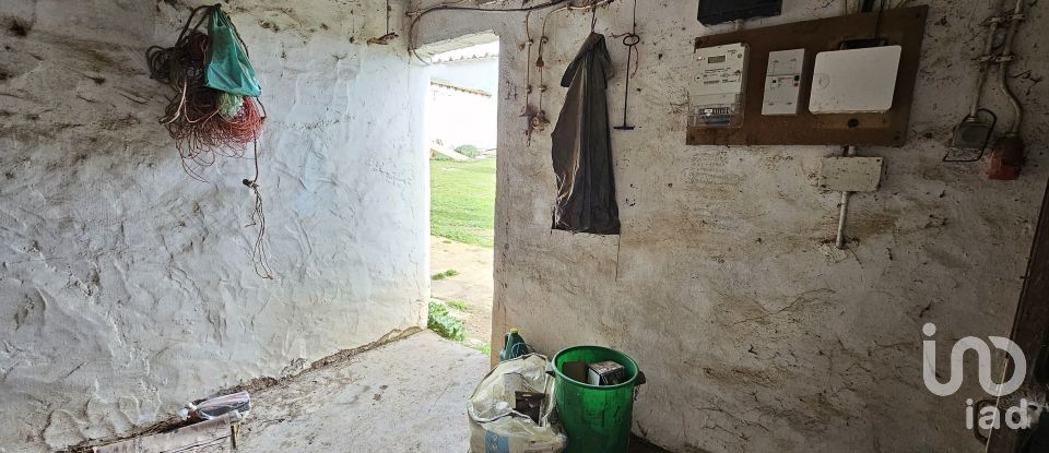 Terrain à Castro Verde e Casével de 57 270 m²