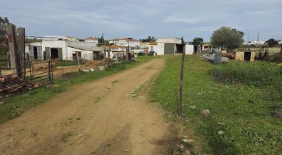 Land in Castro Verde e Casével of 57,270 m²