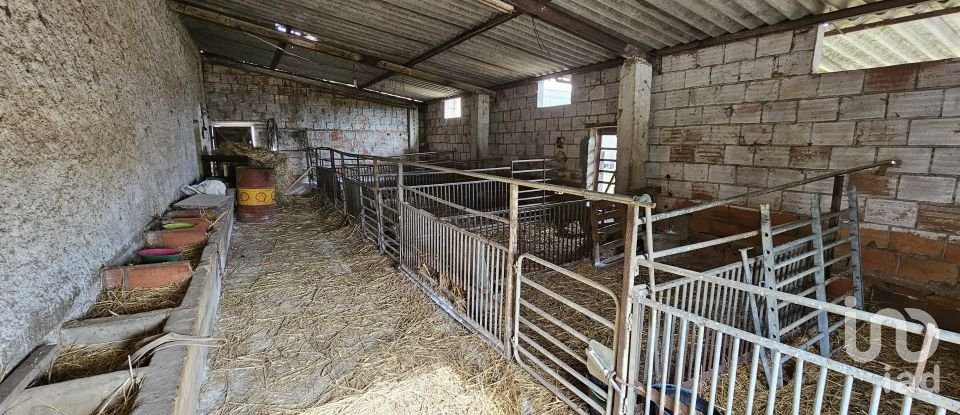 Terrain à Castro Verde e Casével de 57 270 m²