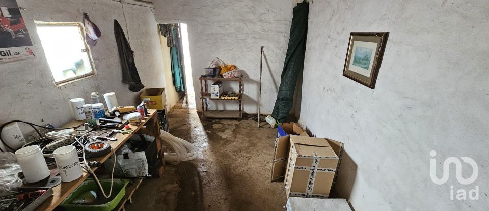 Terrain à Castro Verde e Casével de 57 270 m²