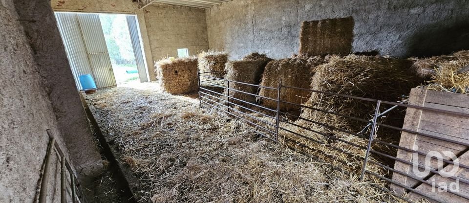 Terrain à Castro Verde e Casével de 57 270 m²