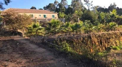 Demeure T3 à São Jorge de 407 m²