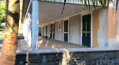 Demeure T3 à São Jorge de 407 m²