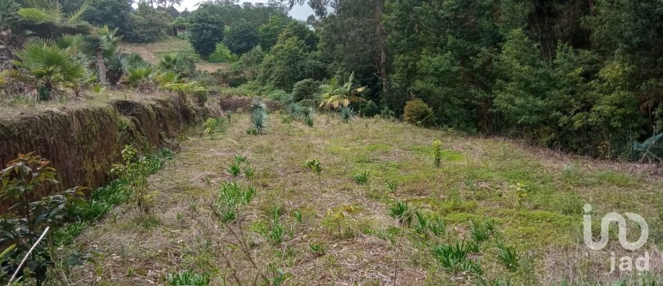 Demeure T3 à São Jorge de 407 m²