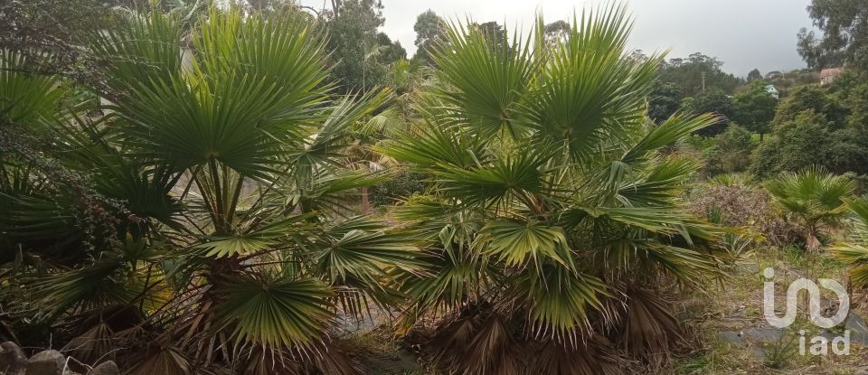 Demeure T3 à São Jorge de 407 m²