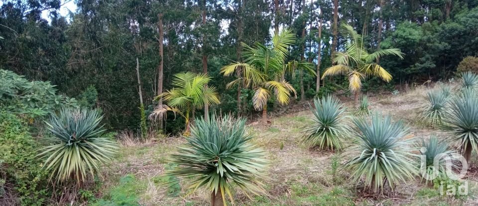 Demeure T3 à São Jorge de 407 m²