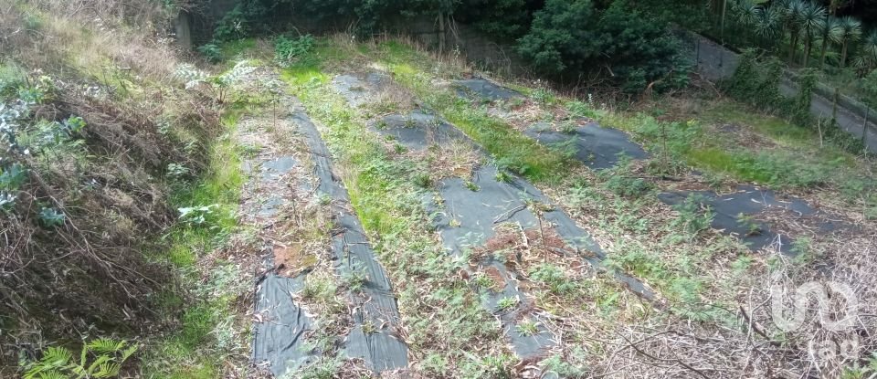 Demeure T3 à São Jorge de 407 m²