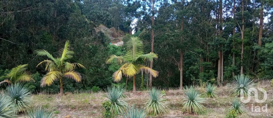 Demeure T3 à São Jorge de 407 m²