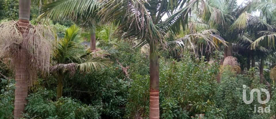 Demeure T3 à São Jorge de 407 m²