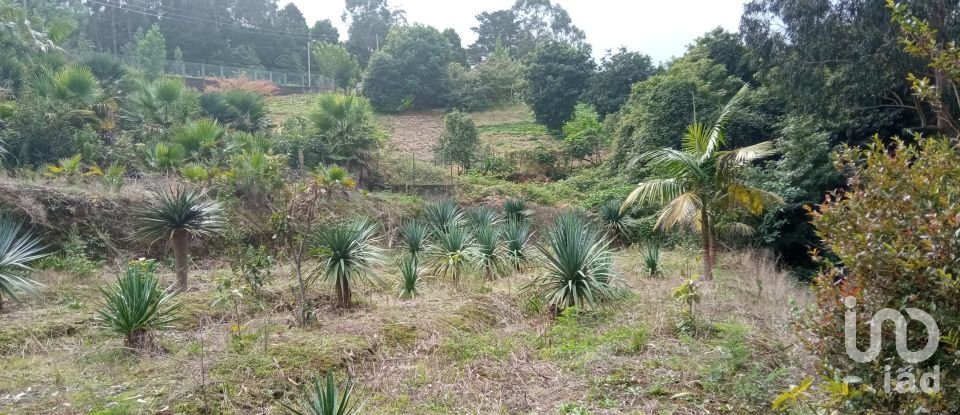 Demeure T3 à São Jorge de 407 m²