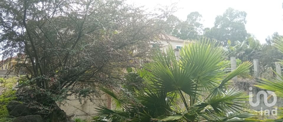 Demeure T3 à São Jorge de 407 m²