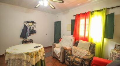 Maison de village T3 à Nossa Senhora da Graça dos Degolados de 165 m²