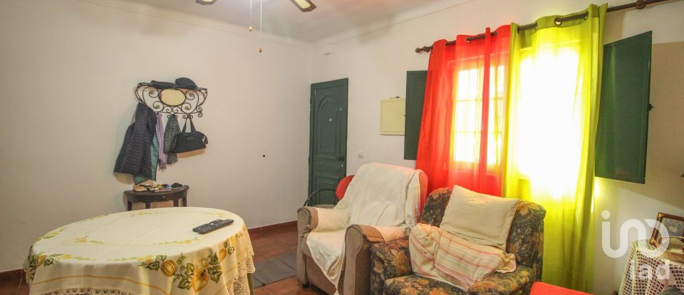 Maison de village T3 à Nossa Senhora da Graça dos Degolados de 165 m²