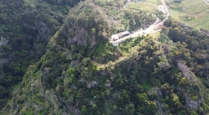 Terrain à bâtir à São Jorge de 8 000 m²