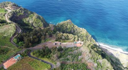 Terrain à bâtir à São Jorge de 8 000 m²