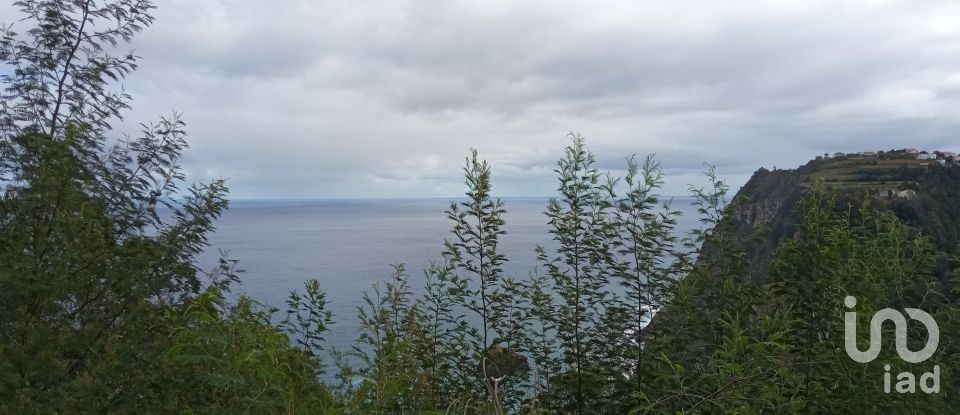 Terrain à bâtir à São Jorge de 8 000 m²