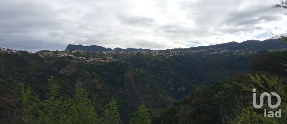 Terrain à bâtir à São Jorge de 8 000 m²