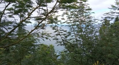 Terrain à bâtir à São Jorge de 8 000 m²