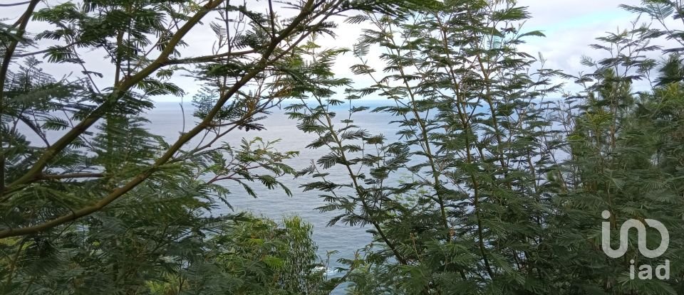 Terrain à bâtir à São Jorge de 8 000 m²