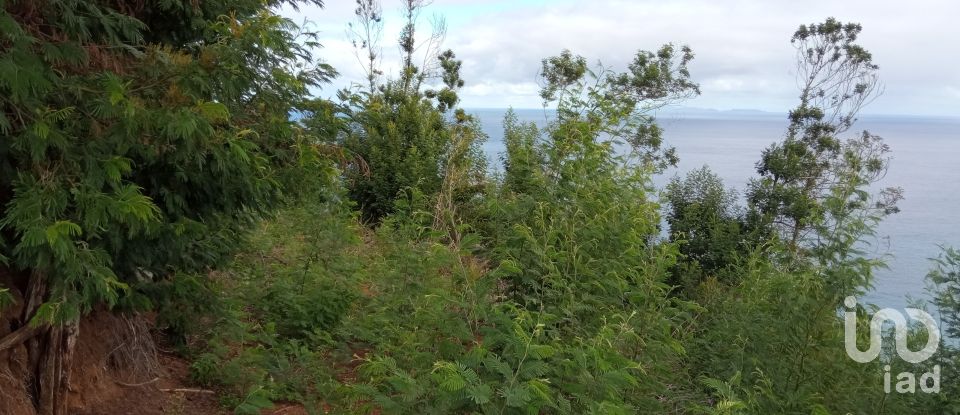 Terrain à bâtir à São Jorge de 8 000 m²