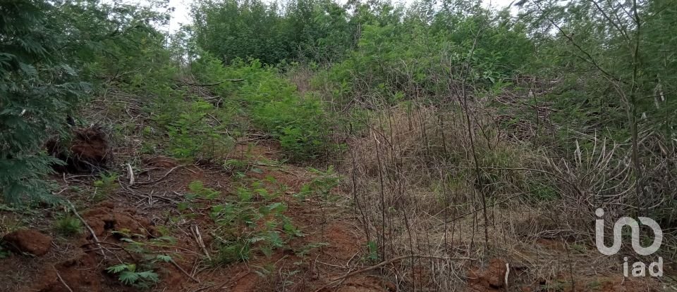 Terrain à bâtir à São Jorge de 8 000 m²