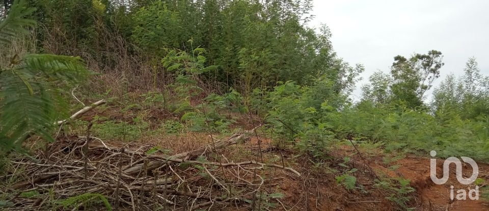 Terrain à bâtir à São Jorge de 8 000 m²