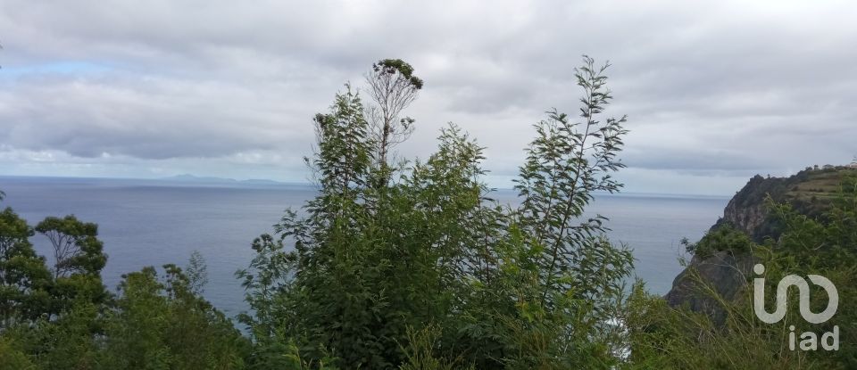 Terrain à bâtir à São Jorge de 8 000 m²