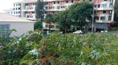 Terrain à São Martinho de 441 m²