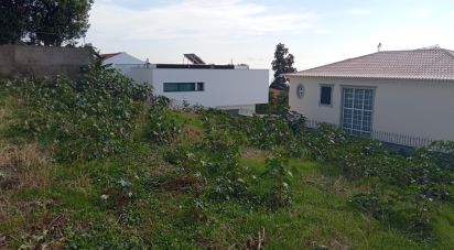 Terrain à São Martinho de 441 m²