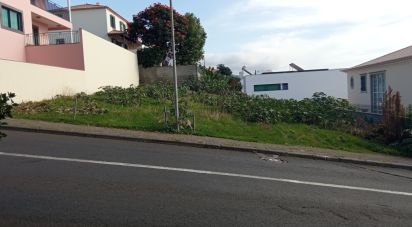 Terrain à São Martinho de 441 m²