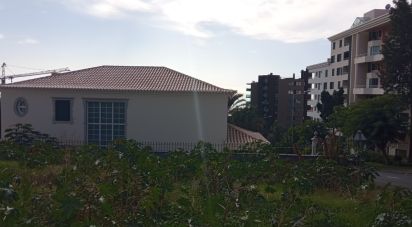 Land in São Martinho of 441 m²