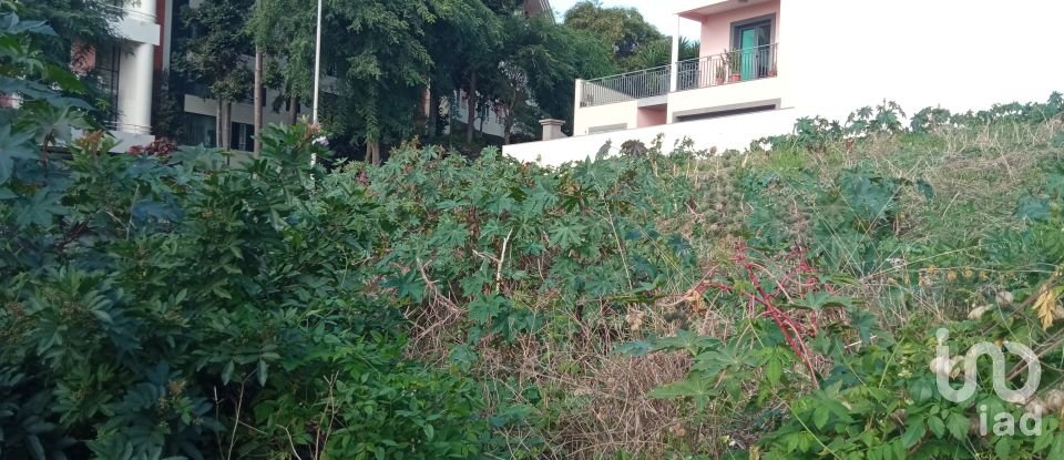 Land in São Martinho of 441 m²