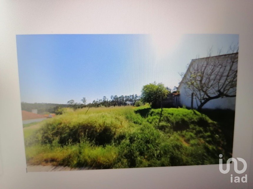 Terreno em Carriço de