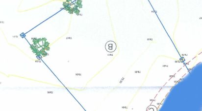Terrain à Silves de 2 541 m²