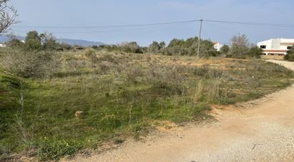 Land in Silves of 2,541 m²