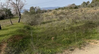 Terrain à Silves de 2 541 m²
