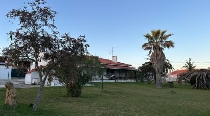 Casa / Villa T4 em Santa Maria, São Pedro e Sobral da Lagoa de 270 m²