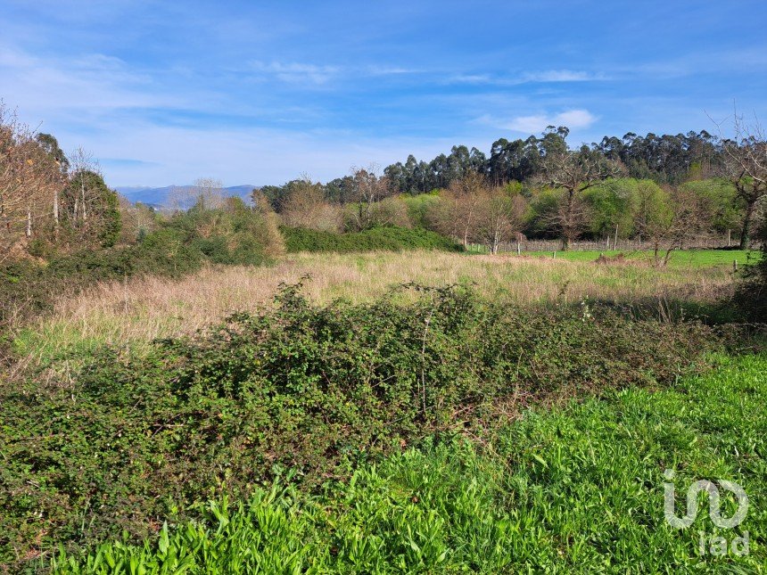 Agricultural land in Pico de Regalados, Gondiães e Mós of 1,354 m²