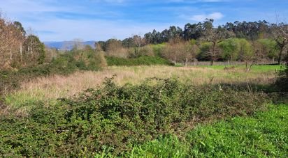 Terrain agricole à Pico de Regalados, Gondiães e Mós de 1 354 m²